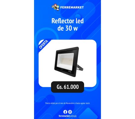 REFLECTOR LED DE 30W